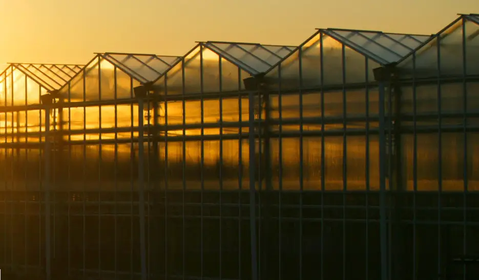 Grodan e Gro Q3 Release 2021 Software - FIG 7