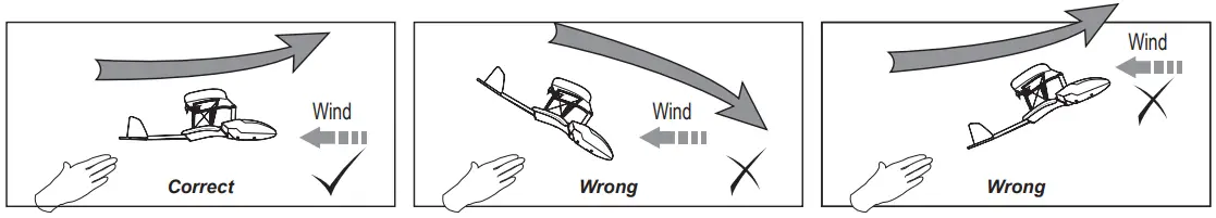 Silverlit-BI-WING-EVO-RC-Plane-fig-9