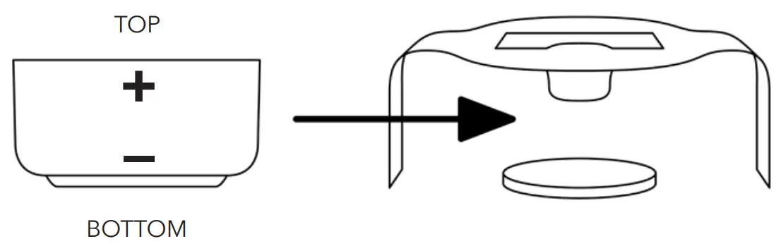 Correct Orientation Below 