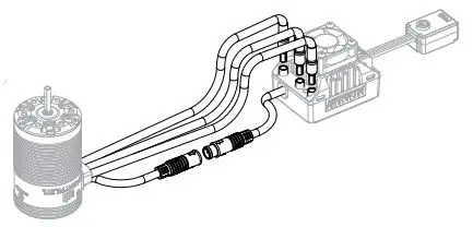 SPEKTRUM SPMXSEMC08 Sensored 1,10th Scale Crawler Smart Power System - Connecting the Motor to the ESC