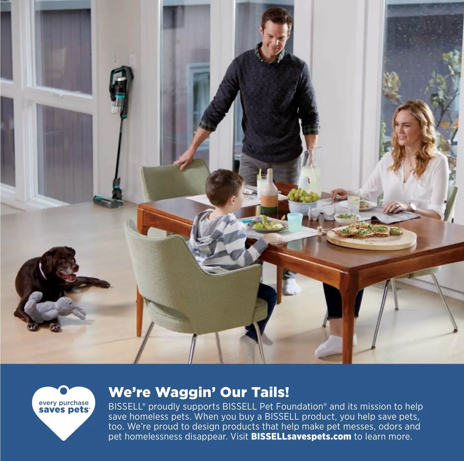 Bissell 2288 Series Iconpet Cordless Vacuum Cleaner - We’re Waggin’ Our Tails!