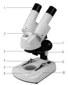 CELESTRON LABS 44137 S20 Angled Stereo Microscope