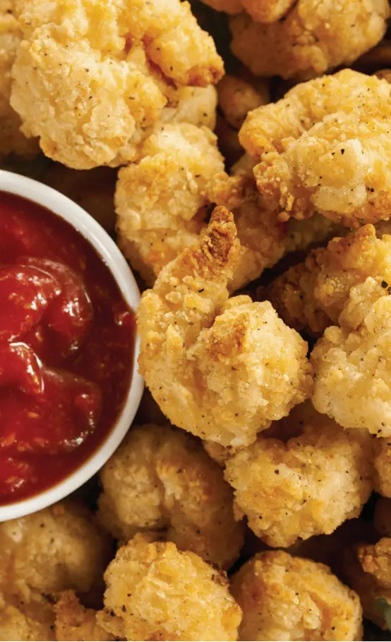 Farberware CCXM22 Air Fryer Manual 11 farberware ccxm22 air fryer manual32091