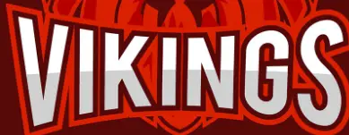 VIKING-M301-Wireless-Microphone-logo