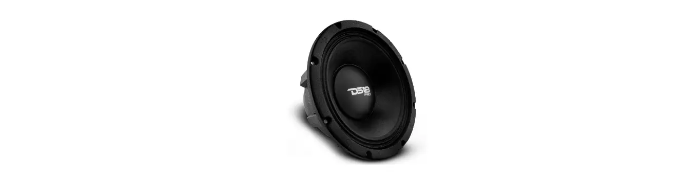 Ds18 Pro-xlneo10mb 10 Inch Mid Bass Loudspeaker With Neodymium Magnet And 4 Inch Vc Owner's Manual