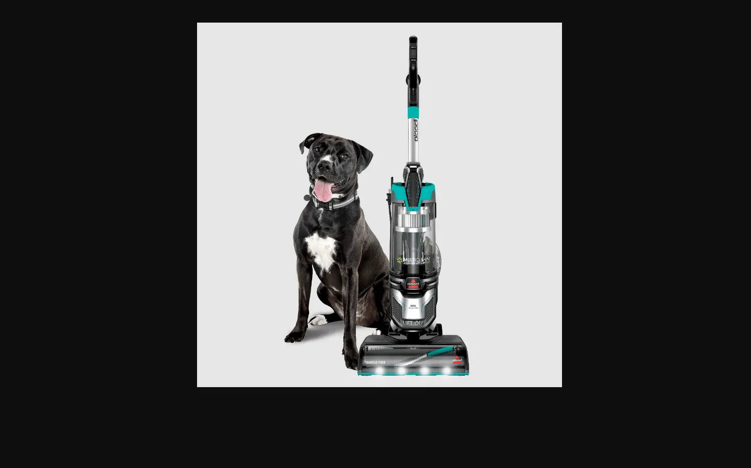 My Multiclean™ Allergen Pet Lift-off® & Non Lift-off Has No Suction | Support