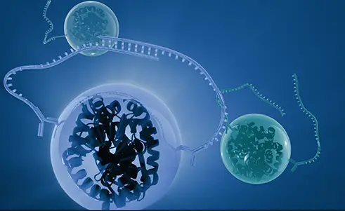 Olink-Target-48-High-Multiplex-Immunoassay-Panels-PRODUCT