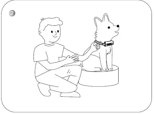 SmartPet RS3 Dog Training Collar-2