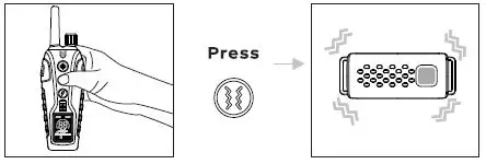 SmartPet RS3 Dog Training Collar-21