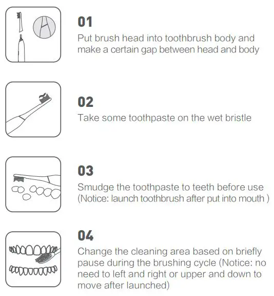 PHILIPS 1741F Smart HD Display Sonic ToothBrush User Manual - Instruction for Use