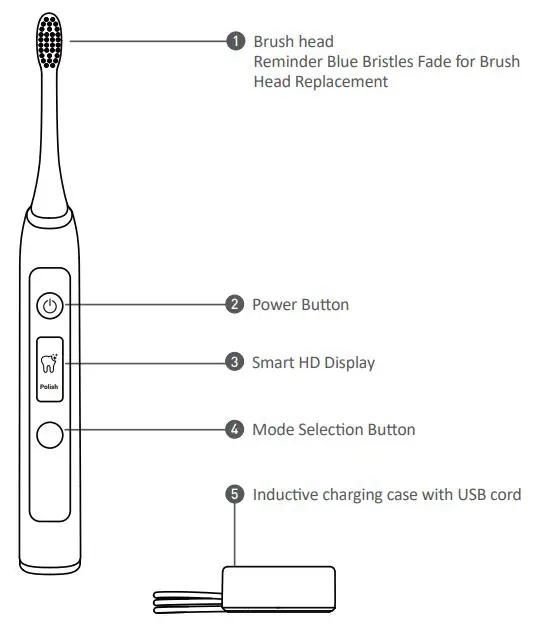 PHILIPS 1741F Smart HD Display Sonic ToothBrush User Manual - Product Components