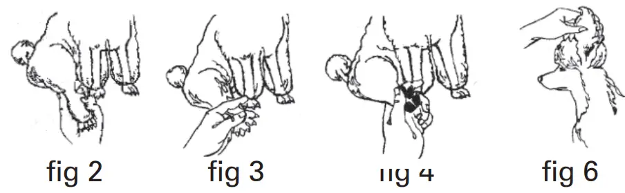 WAHL-9686-PowerPro-Corded-Beard-Trimmer-fig-2
