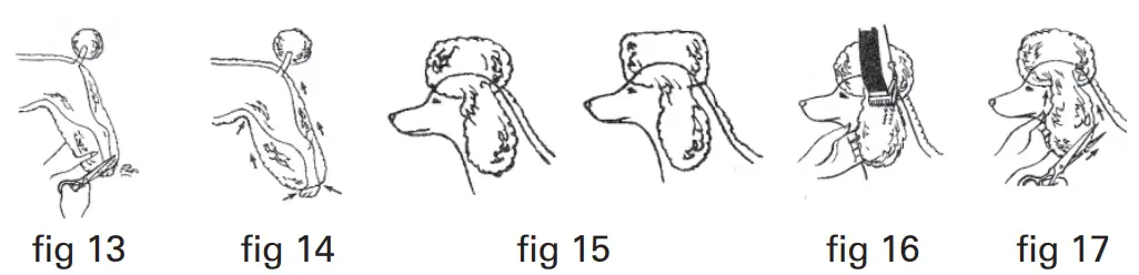 WAHL-9686-PowerPro-Corded-Beard-Trimmer-fig-4