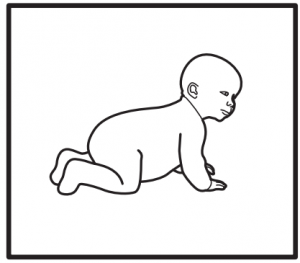 Baby-Diagram