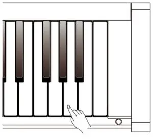 Roland RP30 Digital Piano- Auto Power Off