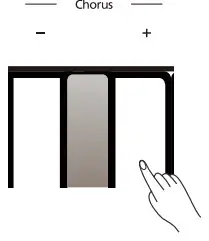 Roland RP30 Digital Piano - Chorus