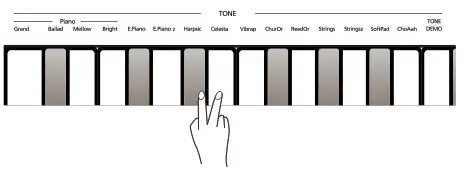 Roland RP30 Digital Piano - Chorus Layering Two Tones