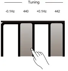 Roland RP30 Digital Piano- Master Tuning