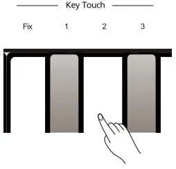 Roland RP30 Digital Piano - Two Tones