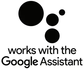 Google Assistant