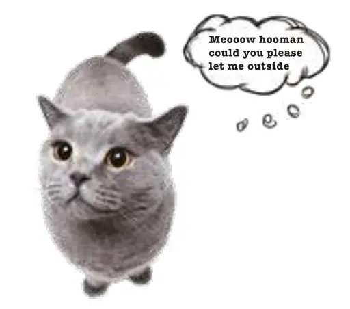 SKIPOO-B07P5RJDDT-Cat-Flap-fig-8