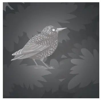 REXING NVS1 Digital Infrared Night Vision Scope Camera 6