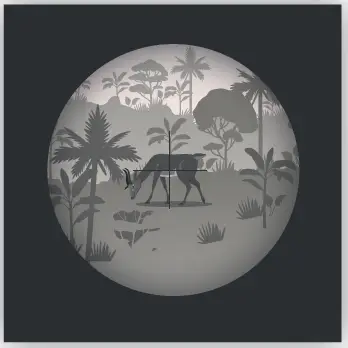 REXING NVS1 Digital Infrared Night Vision Scope Camera 7