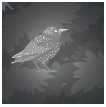 REXING NVS1 Digital Infrared Night Vision Scope Camera 8