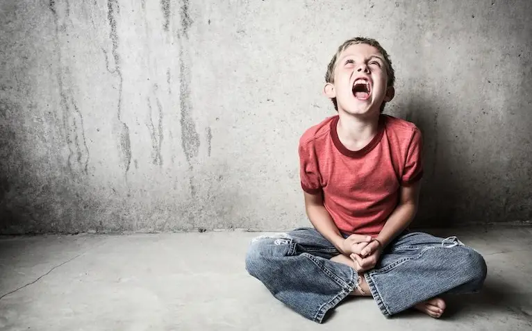 Oddball 2awp6 Oppositional Defiant Disorder Children User Manual