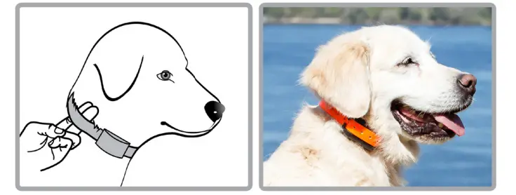 PetSpy=M686-Premium-Dog-Training-Shock-Collar-Fig-5