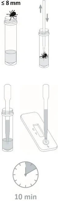 PRAXISDIENST NADAL Borreliosis Ag Test-fig2