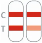 PRAXISDIENST NADAL Borreliosis Ag Test-fig3