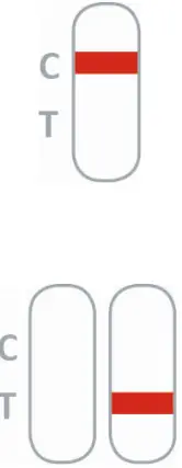 PRAXISDIENST NADAL Borreliosis Ag Test-fig4