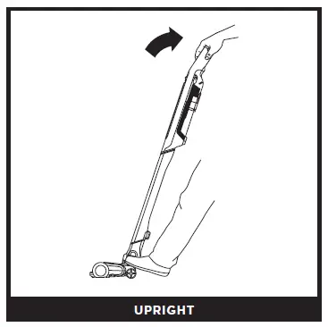 UPRIGHT