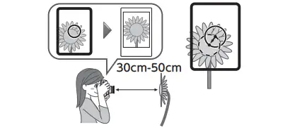 Taking a closeup Figure 1