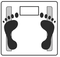 beurer BF 950 Diagnostic Bathroom Scale - fig 2