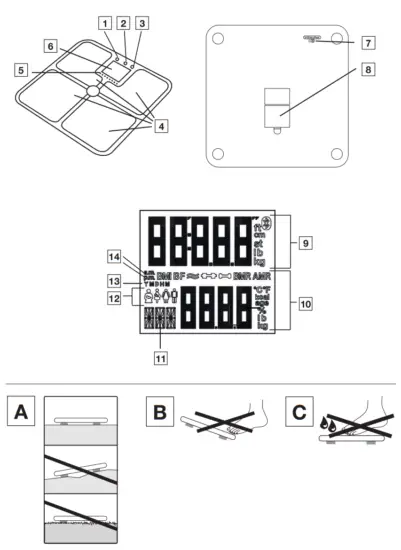 beurer BF 950 Diagnostic Bathroom Scale - fig