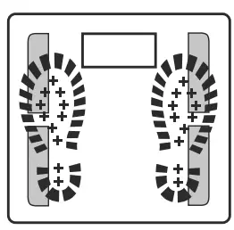 beurer BF 950 Diagnostic Bathroom Scale - fig 5