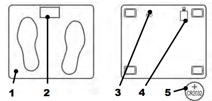 NORMANN-ASB-460-Bathroom-Scale-FIG1