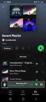SAVANT Pro App Music Service