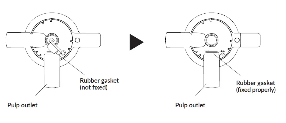 ZEEGMA SAP Slow Juicer 3