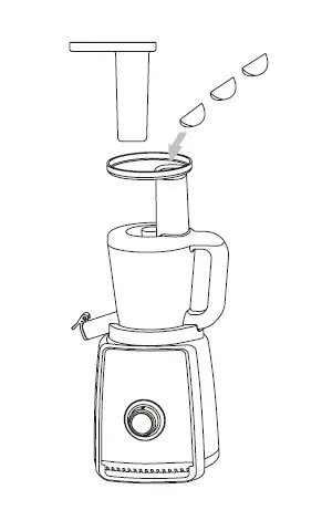 ZEEGMA SAP Slow Juicer 9