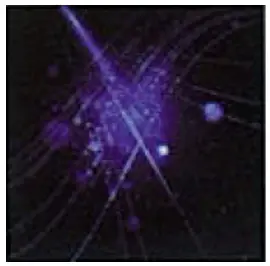 Display Theme Interface