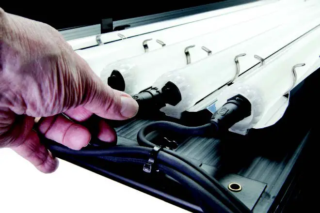 FreeStyle Harness 01