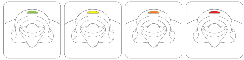 SKININC-Tri-Light-Body-Sculpt-Fit-3