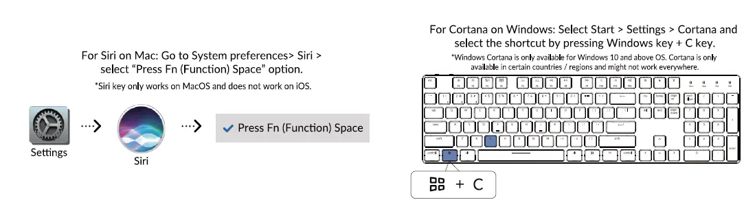 Activate Siri / Cortana