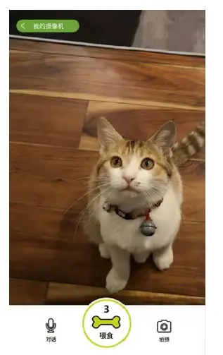 CENGCEN- LMC001- Pet Treat Camera 8