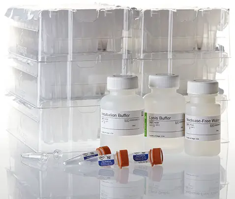 PROMEGA AS1720 Maxwell® RSC FFPE Plus DNA Kit