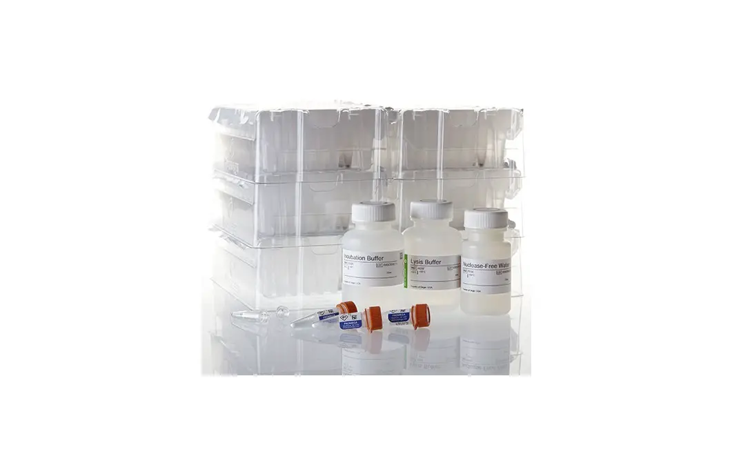 Promega As1720 Maxwell® Rsc Ffpe Plus Dna Kit User Manual Promega As1720 Maxwell® Rsc Ffpe Plus Dna Kit User Manual