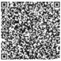 BRAYER BR3020BL Hair Dryer - qr code